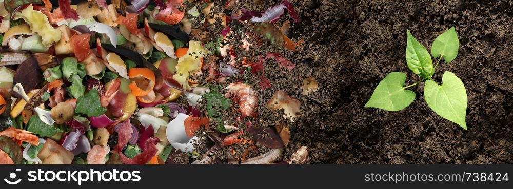 Compost and composted soil cycle as a composting pile of rotting kitchen scraps with fruits and vegetable garbage waste turning into organic fertilizer earth with a growing young plant as a composite.