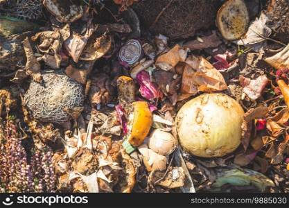 Composting pile of vegetable fruits. Organic waste, closeup
