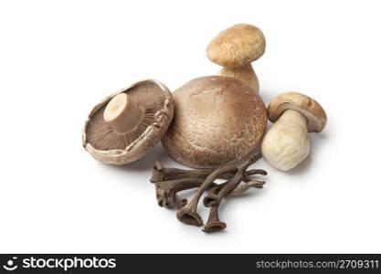 Compostion of fresh edible mushrooms on white background
