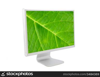 Computer monitor with leaf wallpaper isolated on white