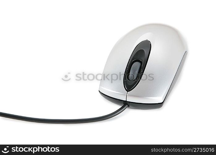computer mouse 1