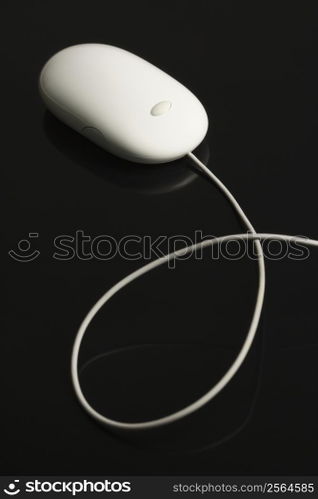 Computer mouse.