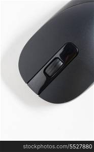 Computer mouse from above on white