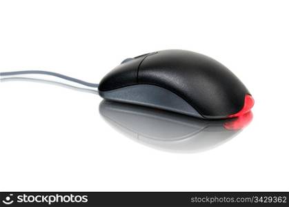 computer mouse isolated on a white background