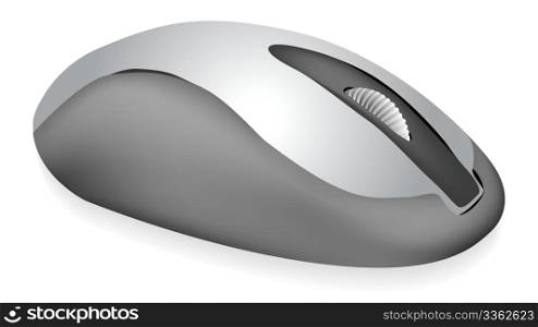 Computer Mouse isolated on white background