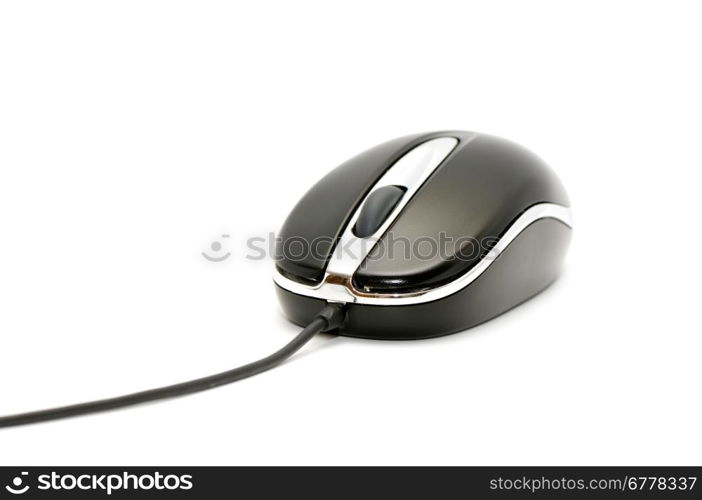 computer mouse on a white background