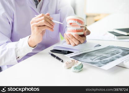 Concentrated dentist sitting at table with jaw samples tooth model in dental office professional dental clinic.