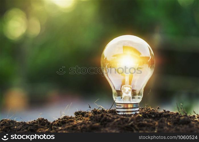 concept idea saving energy light bulb and sunlight