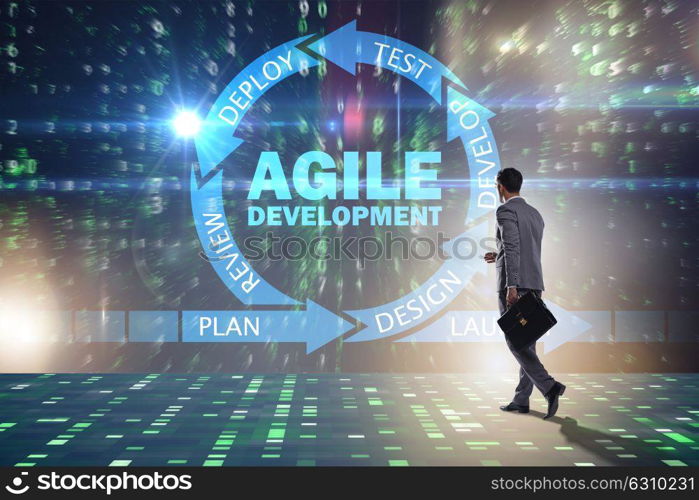 Concept of agile software development