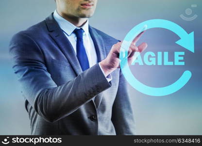 Concept of agile software development