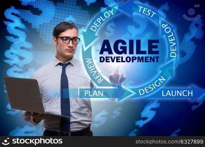 Concept of agile software development. The concept of agile software development