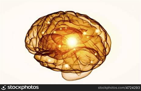 Concept of human intelligence with human brain on white background. Human brain