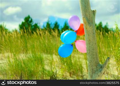 Concept of love in summer, freedom and wedding honeymoon. Colorful balloon chain on beach sand dune with grass background, outdoor