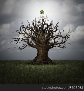 Concept of optimism as a tree in crisis with no leaves and one green leaf surviving as a business or psychological symbol of persistence and determination to have faith and never give up with 3D illustration elements.