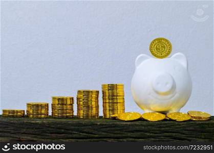 Concept of saving money pig