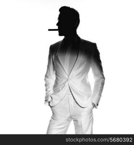 Concept photo of handsome stylish man with cigar