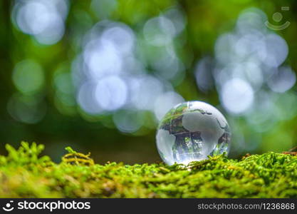 Concept Save the world save environment The world is in the grass of the green bokeh background