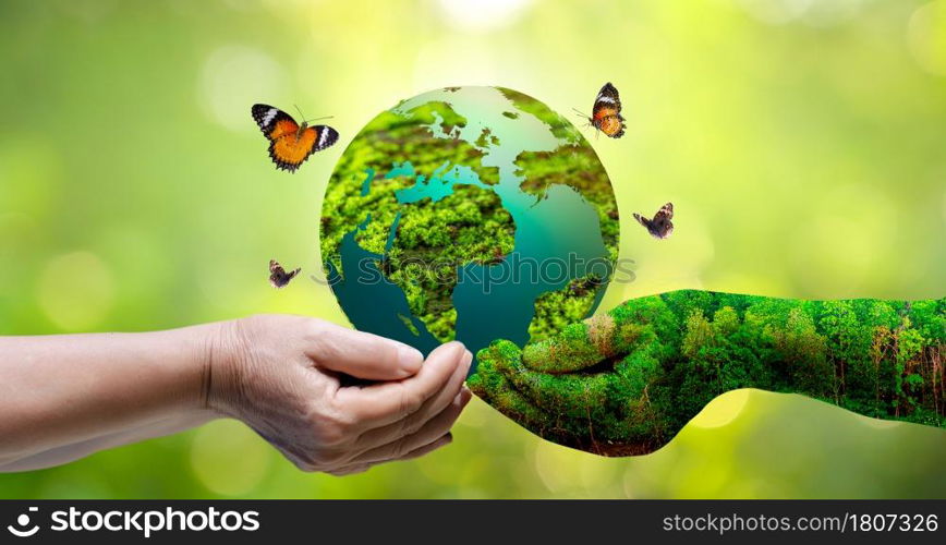 Concept Save the world save environment The world is in the grass of the green bokeh background