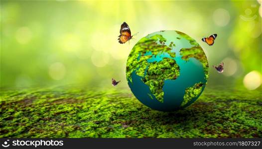 Concept Save the world save environment The world is in the grass of the green bokeh background