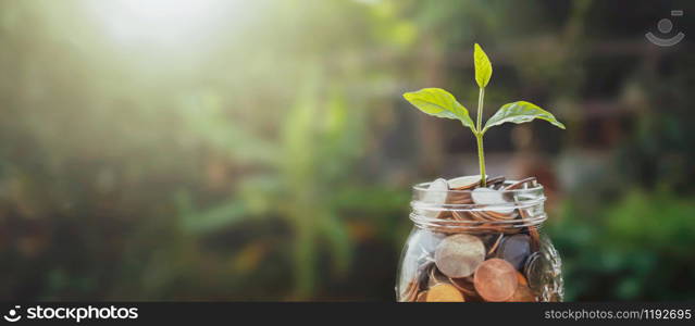 concept saving growing money. plant on jug glass with money stack and sunshine