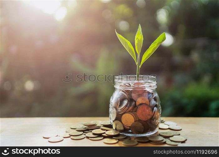 concept saving growing money. plant on jug glass with money stack and sunshine