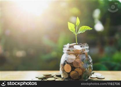 concept saving growing money. plant on jug glass with money stack and sunshine