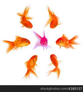 Concept with goldfish. Condemnation and disapproval of the crowd.