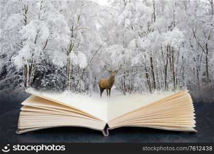 Conceptual composite open book image of Beautiful red deer stag in snow covered Winter forest landscape