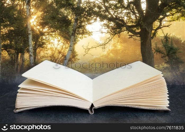 Conceptual composite open book image of Stunning sunrise landscape in misty New Forest countryside