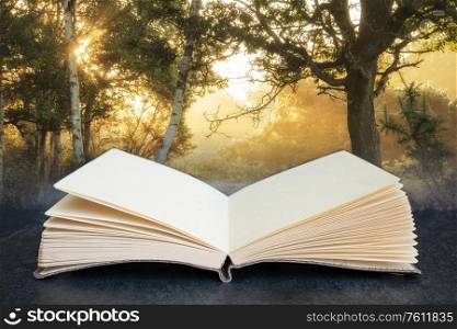 Conceptual composite open book image of Stunning sunrise landscape in misty New Forest countryside