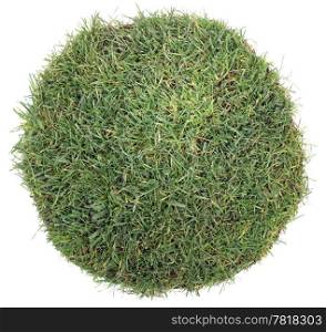 Conceptual Grass Sphere Isolated on White Background