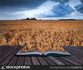 Conceptual image of agricultural landscape in pages of book
