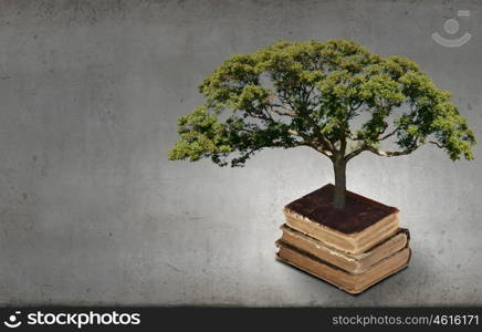 Conceptual image with green tree growing from book. Reading and self education