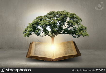 Conceptual image with green tree growing from book. Reading and self education