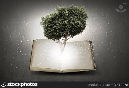 Conceptual image with green tree growing from book. Reading and self education