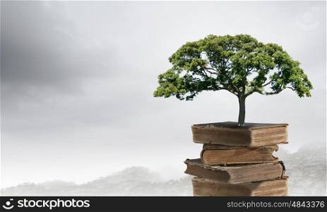Conceptual image with green tree growing from book. Reading and self education
