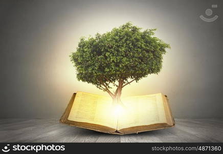 Conceptual image with green tree growing from book. Reading and self education