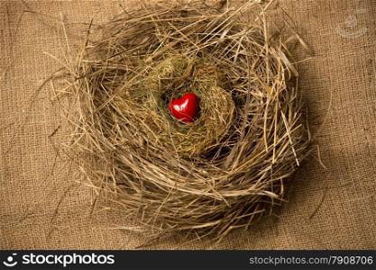 Conceptual photo of small red heart lying in birds nest