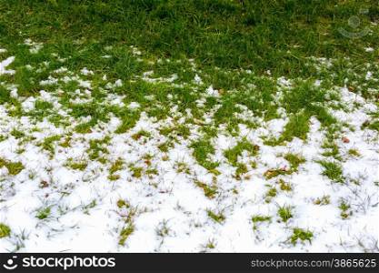 Conceptual photo of spring going after winter. Grass growing through snow