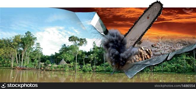 Conceptual photocomposition about deforestation in the Amazon. The graphic illustrates the before and after cutting trees