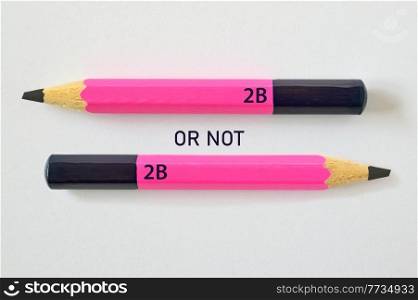 Conceptual  Phrase To be, or not to be From Pink Pencils