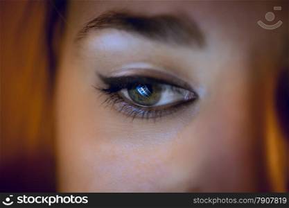 Conceptual shot of computer screen reflecting in woman eye