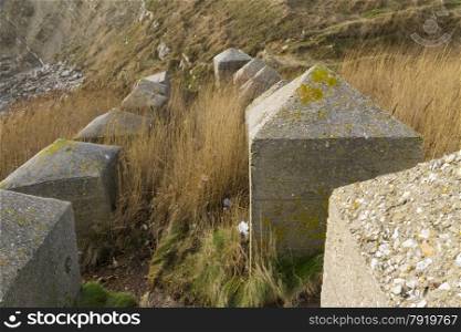 Concrete anti tank blocks, placed to hinder invasion, Pondfield Cove, Worbarrow bay , Dorset, England, United Kingdom.