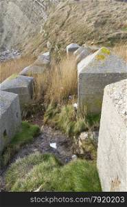Concrete anti tank blocks, placed to hinder invasion, Pondfield Cove, Worbarrow bay , Dorset, England, United Kingdom.