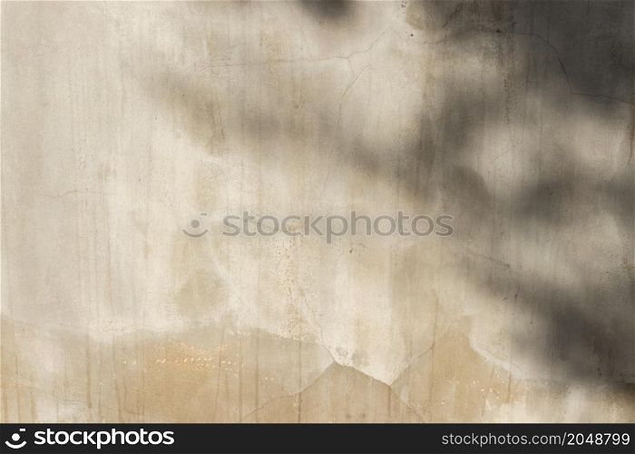 concrete or cement material and leaf shadow on abstract wall background texture.