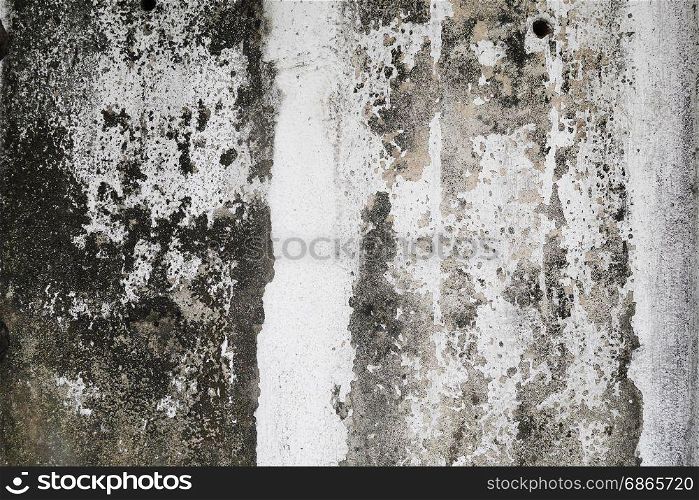 concrete wall with grunge texture and moss green algae , texture background