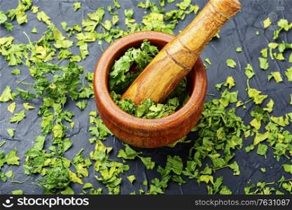 Condiment or spice made from dried green parsley.. Dried parsley spice