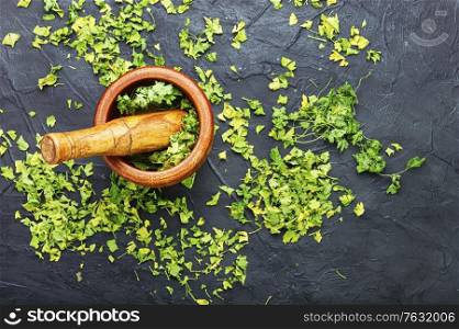 Condiment or spice made from dried green parsley.. Dried parsley spice