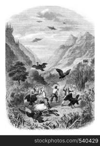 Condor hunt, vintage engraved illustration. Magasin Pittoresque 1857.