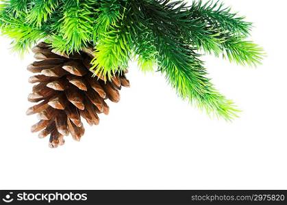 Cone and christmas tree isolated on white